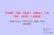 FROM THE VERY SMALL TO THE VERY LARGE PARTICLE PHYSICS AND THE COSMOS Michael Dine July 2004.