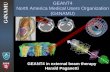 G4NAMU GEANT4 North America Medical Users Organization (G4NAMU) GEANT4 in external beam therapy Harald Paganetti.