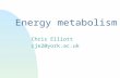 Energy metabolism Chris Elliott cje2@york.ac.uk. Learning Objectives: nTo understand how oxygen consumption is used as an index of metabolic rate nTo.