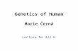 Genetics of Human Marie Černá Lecture No 422-H. Human Genome Project Genome – the complete set of information in an organism’s DNA Human genome (1 haploid.