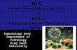 HIV (Human Immunodeficiency Virus) & AIDS Acquired Immune Deficiency Syndrome Immunology Unit Department of Pathology King Saud University.