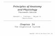 Principles of Anatomy and Physiology Thirteenth Edition Chapter 24 The Digestive System Copyright © 2012 by John Wiley & Sons, Inc. Gerard J. Tortora Bryan.