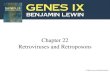 Chapter 22 Retroviruses and Retroposons. 22.1 Introduction retroviruses : RNA viruses with the ability to convert its sequence into DNA by reverse transcription.