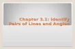 Chapter 3.1: Identify Pairs of Lines and Angles. M11.B.2.1, M11.C.1.2 What angle pairs are formed by transversals?