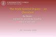 The Male Genital Organs – an Overview Per Brodal Institutt for medisinske basalfag Universitetet i Oslo 9th Semester 2008.