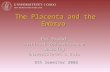 The Placenta and the Embryo Per Brodal Institutt for medisinske basalfag Universitetet i Oslo 9th Semester 2008.
