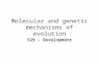 Molecular and genetic mechanisms of evolution 529 - Development.