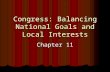 Congress: Balancing National Goals and Local Interests Chapter 11.