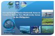 Strengthening Marine Protected Areas to Conserve Marine Key Biodiversity Areas in the Philippines.