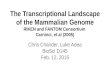 The Transcriptional Landscape of the Mammalian Genome RIKEN and FANTOM Consortium Carninci, et al (2005) Chris Chander, Luke Adea BioSci D145 Feb. 12,