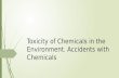 Toxicity of Chemicals in the Environment. Accidents with Chemicals.