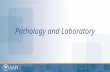 Pathology and Laboratory. CPT® copyright 2013 American Medical Association. All rights reserved. Fee schedules, relative value units, conversion factors.