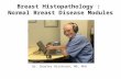 Breast Histopathology : Normal Breast Disease Modules Dr. Charles Hitchcock, MD, PhD.