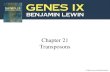 Chapter 21 Transposons. 21.1 Introduction transposon (transposable element) : a DNA sequence able to insert itself at a new location in the genome, without.
