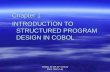 COBOL for the 21 st Century Stern, Stern, Ley Chapter 1 INTRODUCTION TO STRUCTURED PROGRAM DESIGN IN COBOL.