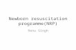 Newborn resuscitation programme(NRP) Renu Singh. Burden of the problem Birth asphyxia 23% of the 1 million neonatal deaths in India Long term neurological.