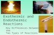 Exothermic and Endothermic Reactions Key Differences Between the Two Types of Reactions.