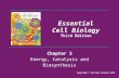 Chapter 3 Energy, Catalysis and Biosynthesis Essential Cell Biology Third Edition Copyright © Garland Science 2010.