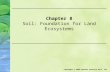 Chapter 8 Soil: Foundation for Land Ecosystems Copyright © 2008 Pearson Prentice Hall, Inc.