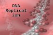 1 DNA Replication copyright cmassengale. 2 Replication Facts DNA has to be copied before a cell dividesDNA has to be copied before a cell divides DNA.
