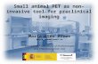 Small animal PET as non-invasive tool for preclinical imaging Marta Oteo Vives marta.oteo@ciemat.es Biomedical Applications of Radioisotopes and Pharmacokinetic.