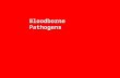 Bloodborne Pathogens. Training Topics  Review terminology related to exposure control  Review bloodborne pathogens  Review vector-borne hazards  Review.