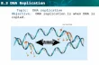 8.3 DNA Replication Topic: DNA replication Objective: DNA replication is when DNA is copied. nucleotide The DNA molecule unzips in both directions.