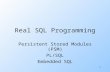 1 Real SQL Programming Persistent Stored Modules (PSM) PL/SQL Embedded SQL.