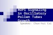 ROP1 Signaling in Oscillatory Pollen Tubes Growth Speaker: Chun-hui Cai.