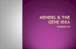 Chapter 14.  Genetics: The scientific study of heredity  Heredity: the passing of traits from parents to offspring  Inheritance: You get your genes.