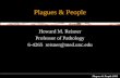 Plagues & People 2005 Plagues & People Howard M. Reisner Professor of Pathology 6-4265 reisner@med.unc.edu.