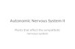 Autonomic Nervous System II Plants that affect the sympathetic nervous system.