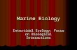 Marine Biology Intertidal Ecology: Focus on Biological Interactions.