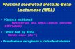 Plasmid mediated Metallo-Beta- Lactamase (MBL) Plasmid mediated Hydrolyses all beta-lactam (except aztreonam) Inhibited by EDTA Binds zinc (Zn 2+ ) Pseudomonas.