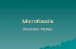 Microfossils Brandon McKee. Overview  What are microfossils?  Where are microfossils found?  How are stromatolites formed?  What are the techniques.