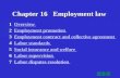 Chapter 16 Employment law 1 Overview Overview 2 Employment promotion Employment promotionEmployment promotion 3 Employment contract and collective agreement.