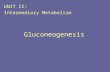 Gluconeogenesis UNIT II: Intermediary Metabolism.