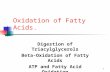 1 Oxidation of Fatty Acids. Digestion of Triacylglycerols Beta-Oxidation of Fatty Acids ATP and Fatty Acid Oxidation.