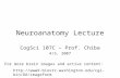 Neuroanatomy Lecture CogSci 107C – Prof. Chiba 4/5, 2007  For more brain images and active content: