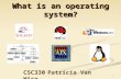 1 What is an operating system? CSC330Patricia Van Hise.