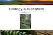 Chapter 52 Ecology & Biosphere. Fig. 52-2 Organismal ecology Population ecology Community ecology Ecosystem ecology Landscape ecology Global ecology Studies