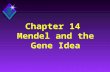 Chapter 14 Mendel and the Gene Idea. Inheritance u The passing of traits from parents to offspring. u Humans have known about inheritance for thousands.