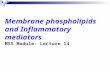 Membrane phospholipids and Inflammatory mediators MSS Module- Lecture 14.