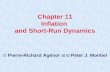 1 Chapter 11 Inflation and Short-Run Dynamics © Pierre-Richard Agénor and Peter J. Montiel.