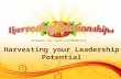 Harvesting your Leadership Potential. Emotional Intelligence “The capacity for recognizing our own feelings and those of others, for motivating ourselves,