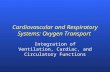 Cardiovascular and Respiratory Systems: Oxygen Transport Integration of Ventilation, Cardiac, and Circulatory Functions.