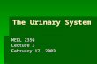 The Urinary System MEDL 2350 Lecture 3 February 17, 2003.