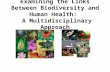 Examining the Links Between Biodiversity and Human Health: A Multidisciplinary Approach.