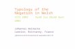 Typology of the Negation in Welsh ICCS 2003 Dydd Iau 28ydd Awst 2003 Johannes Heinecke Lannion, Brittanny, France johannes(dot)heinecke(at)wanadoo(dot)fr.