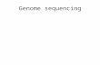 Genome sequencing. Vocabulary Bac: Bacterial Artificial Chromosome: cloning vector for yeast Pac, cosmid, fosmid, plasmid: cloning vectors for E. coli.